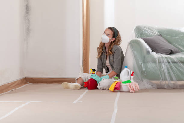Reliable Black Mold Removal contractor in Sharpsburg, MD by WQB Mold Removal